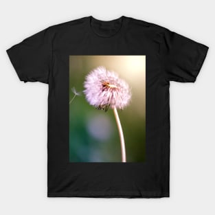 Dandelion T-Shirt